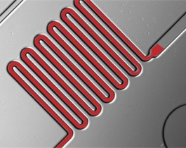 Hydrophilic membrane - Hyd