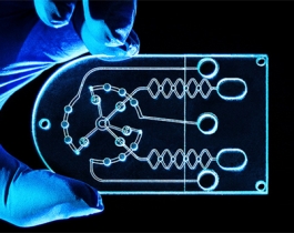 Temperature-resistant and hydrophobic hi