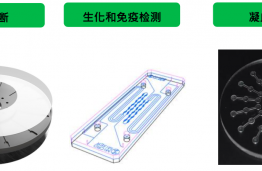 生物芯片的应用分类