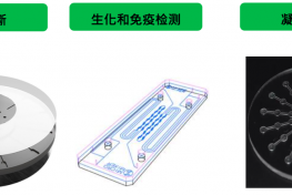 生物芯片的应用分类